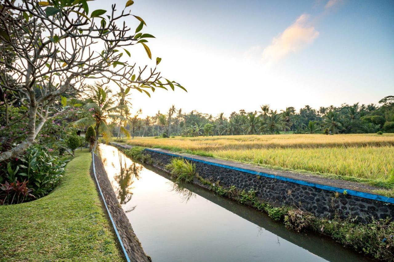 Villa Taman Di Blayu By Nagisa Bali Selemadeg Eksteriør billede